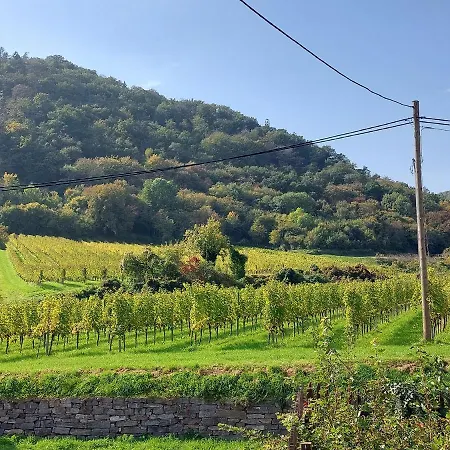 In Der Wachau